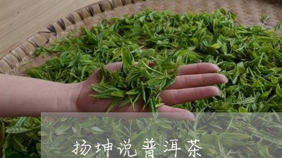 扬坤说普洱茶/2023042563556