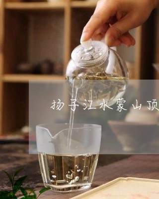 扬子江水蒙山顶上茶的典故/2023051150402