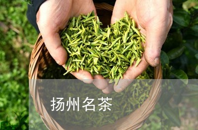 扬州名茶/2023121985827