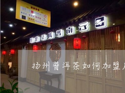 扬州普洱茶如何加盟店的/2023110625047