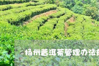 扬州普洱茶管理办法规定/2023050579483