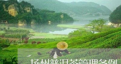 扬州普洱茶管理条例/2023071191169