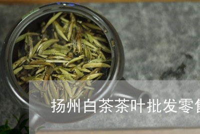 扬州白茶茶叶批发零售/2023100159484