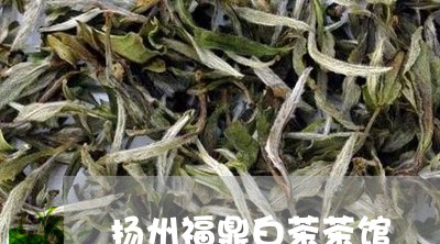 扬州福鼎白茶茶馆/2023061919417