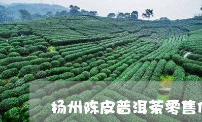 扬州陈皮普洱茶零售价格/2023120722793