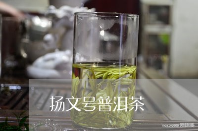 扬文号普洱茶/2023081870604