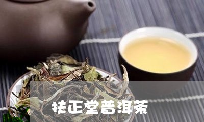 扶正堂普洱茶/2023042748534