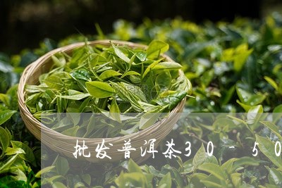 批发普洱茶30-50一公斤/2023082671814