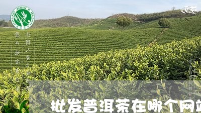 批发普洱茶在哪个网站/2023080390515