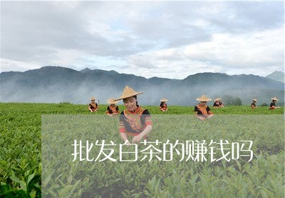 批发白茶的赚钱吗/2023061934849