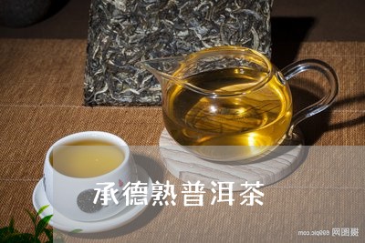 承德熟普洱茶/2023091378471