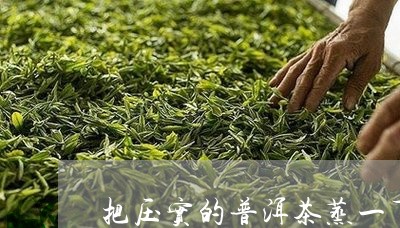 把压实的普洱茶蒸一下可以吗/2023110647382