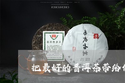 把最好的普洱茶带给你/2023120611404