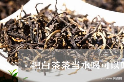 把白茶茶当水喝可以吗/2023100154039