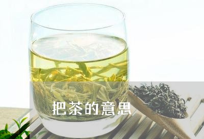 把茶的意思/2023090291672