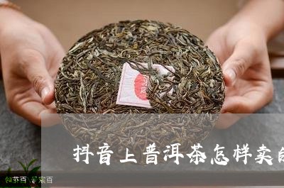 抖音上普洱茶怎样卖的/2023082959481