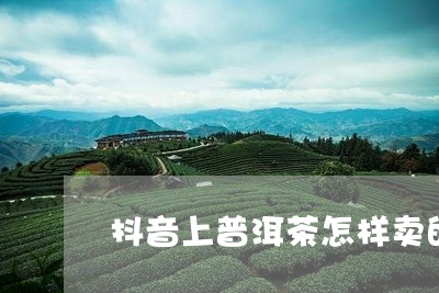 抖音上普洱茶怎样卖的/2023110628472