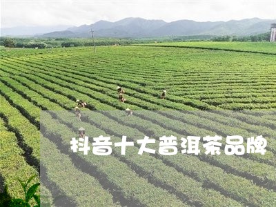 抖音十大普洱茶品牌/2023101746250