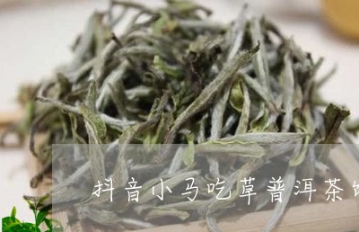 抖音小马吃草普洱茶饼/2023062465268