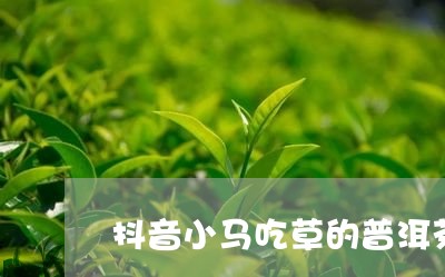 抖音小马吃草的普洱茶/2023062234829