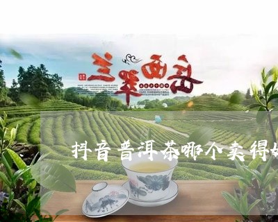 抖音普洱茶哪个卖得好一点/2023112577182