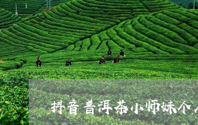 抖音普洱茶小师妹个人资料/2023082771793