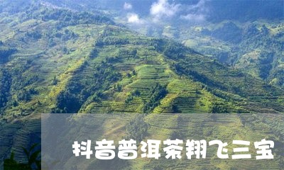 抖音普洱茶翔飞三宝/2023071167694