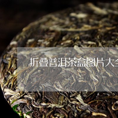 折叠普洱茶盒图片大全集/2023082949371