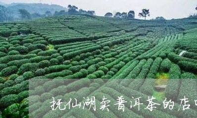 抚仙湖卖普洱茶的店叫什么/2023112585160