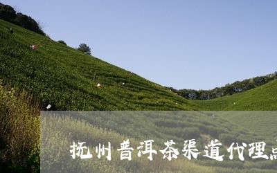 抚州普洱茶渠道代理点/2023061485047