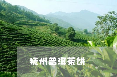 抚州普洱茶饼/2023042629253