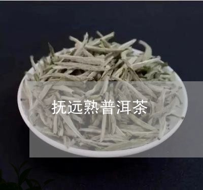 抚远熟普洱茶/2023042661875