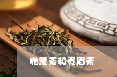 抛荒茶和贡眉茶/2023112591614