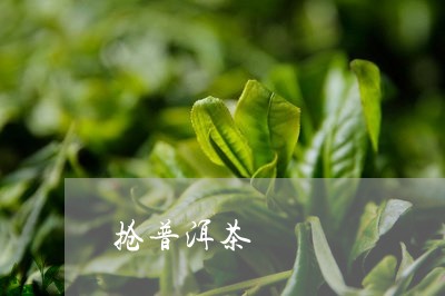 抢普洱茶/2023110880481