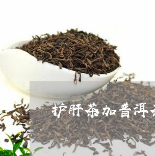 护肝茶加普洱茶的功效/2023070186259