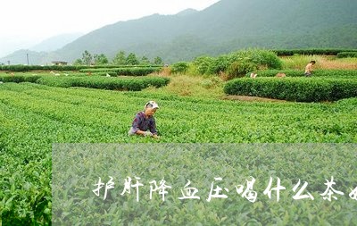 护肝降血压喝什么茶好/2023071393915