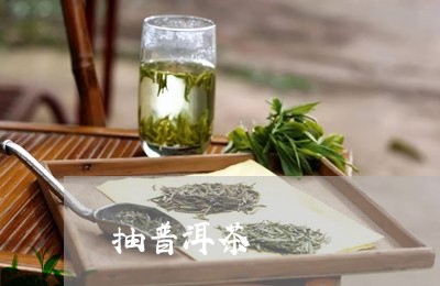 抽普洱茶/2023090179381