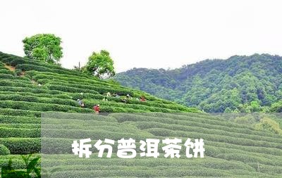 拆分普洱茶饼/2023042674702