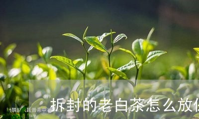 拆封的老白茶怎么放保存/2023102529282