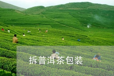 拆普洱茶包装/2023042819879