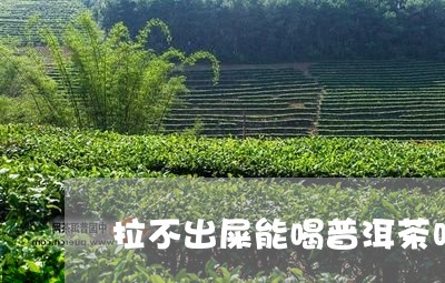 拉不出屎能喝普洱茶吗/2023110344836