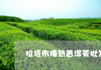 拉佤布傣熟普洱茶批发/2023092739379