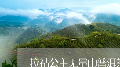 拉祜公主无量山普洱茶/2023080206048