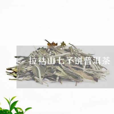 拉祜山七子饼普洱茶/2023120525068