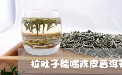 拉肚子能喝陈皮普洱茶/2023073144136