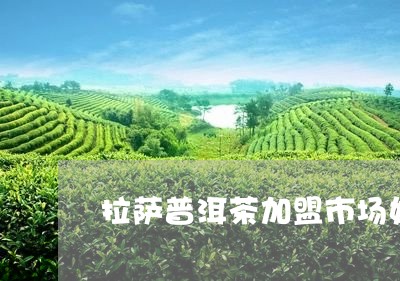 拉萨普洱茶加盟市场好不好/2023051188150