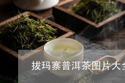 拔玛寨普洱茶图片大全/2023062389038