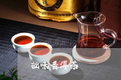 拙味普洱茶/2023090641604