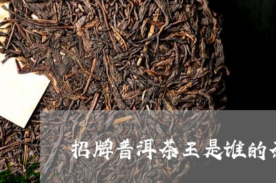 招牌普洱茶王是谁的茶饼/2023110116293