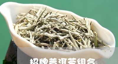 招牌普洱茶组合/2023120313958